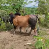 John lopez l0pez - @john.lopez.l0pez - TikTok