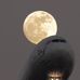 John Lorek - Facebook