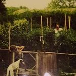 John Lorenzini - @johnnycollodi - Instagram