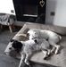 John Lothian - Facebook