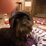 John Lowes - @lowes913 - Instagram