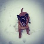 John Lowes - @medevil666 - Instagram