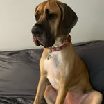 Wyatt john lowman - @wyattjohnlowman - Instagram