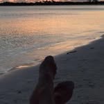 John Lowrey - @lowreyjohn - Instagram
