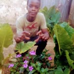 John Lubanga - @john.lubanga - Instagram