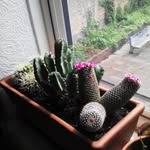 John Lubas - @john.lubas.716 - Instagram