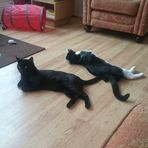John Lucking - Facebook
