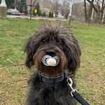 John Ludeke - @john.pkg - Instagram