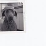 John Ludtke - @johnludtke - Instagram