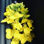 John ludvik - @johnludvik22 - Instagram