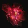 Johnnie Luera - @johnnieluera - TikTok