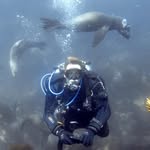 John Lumb - @scubajohnphotos - Instagram