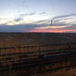 John Lundquist - @john_lundquist6 - Instagram