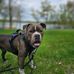 John Lundquist - Facebook