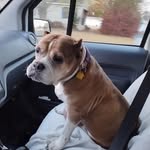 John Lusby - @jjlusby74 - Instagram