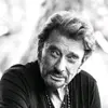 fan de Johnny Hallyday - @fandejohnnyhallyday2 - TikTok