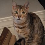 John Lyday - @john.r.lyday - Instagram