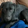 JOHNLYle - @user1100039486157 - TikTok