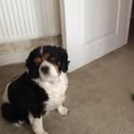 John Lyne - @johnandmarylyne - Instagram
