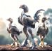 John MA - Facebook