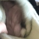 no - @johnnymacchio - Instagram