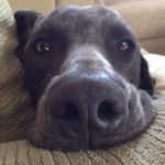 John MacDonnell - @macdonnelljohn - Instagram