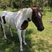 John MacEachern - Facebook