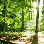 John Machate - @johnmachate - Instagram