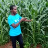 John Machina - @johnmachina549 - TikTok