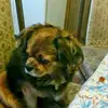 John Maciel - @john.maciel39 - TikTok