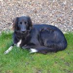 John Maciver - @john.maciver.39 - Instagram
