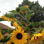 John Macker - @john.macker.9 - Instagram