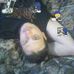 John Madar - Facebook