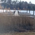 John Mahle - @mahlebill - Instagram