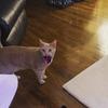 John Mahn875 - @user559391123748 - TikTok