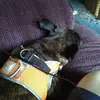 John Mahon - @johnmahon2 - TikTok