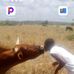 John Makoni - Facebook