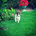 John Malcolm - @johnmalcolm7996 - Instagram