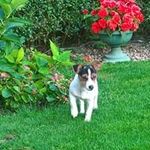 John Malcolm - @johnmalcolm54 - Instagram