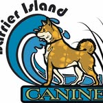 john malcolm - @barrierislandcanine - Instagram