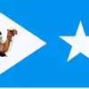 Fatush❤️🇸🇴 - @john.malcom1 - TikTok