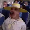 user9010391614669 - @john_malcom_ - TikTok