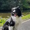 John Mallen - @john.mallen - TikTok