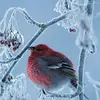 John Mallia - @john.mallia2 - TikTok