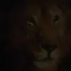 John Mallia - @jonmallia - TikTok