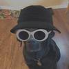 Johnny Malouf - @_johnmalouf_ - TikTok