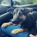 John Malsch - Facebook