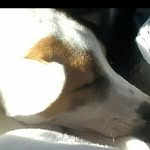 David John malueg - @davidjohnmauled - Instagram