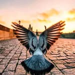 John Mandela - @john.mandela.104 - Instagram