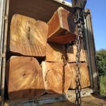 John Mandy - @afri.cantimber - Instagram